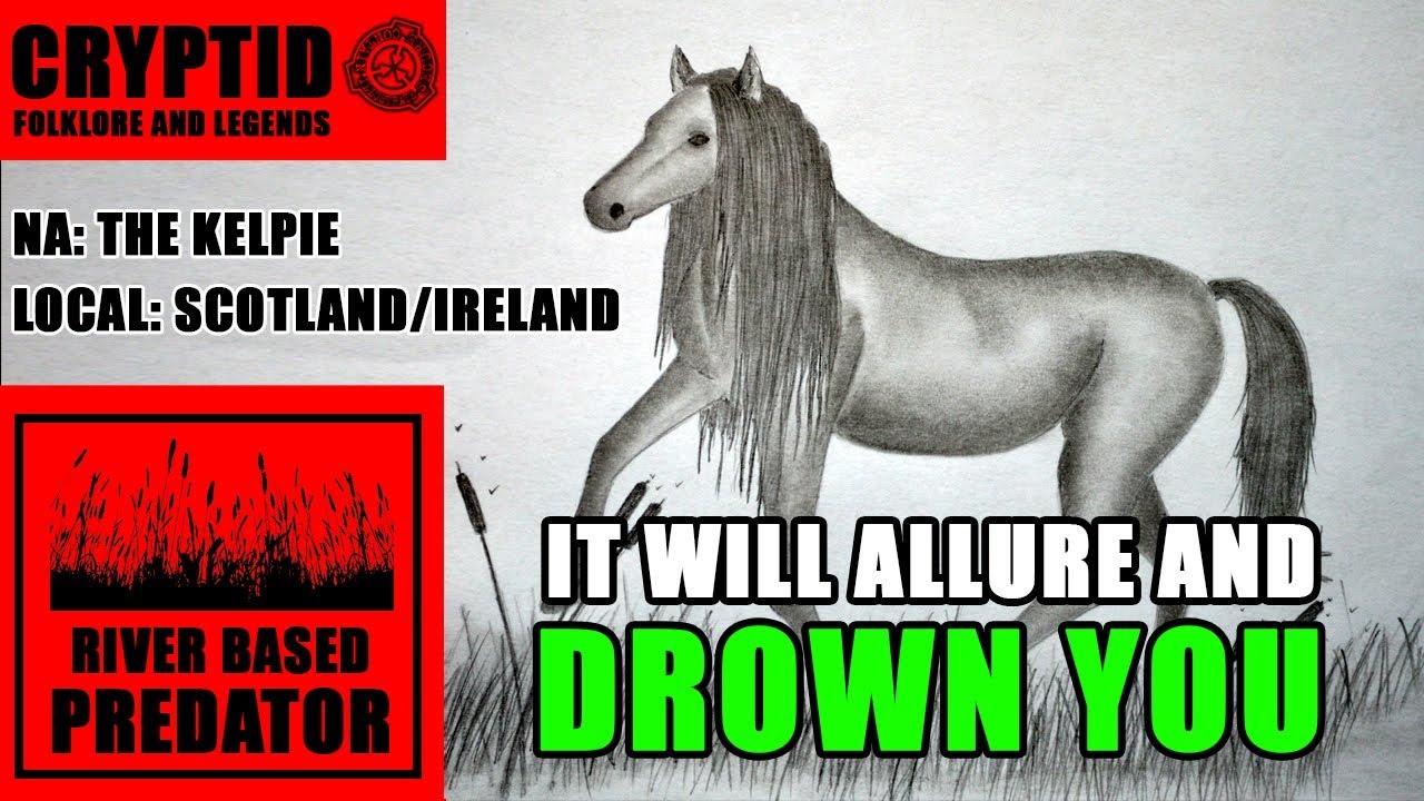 The Kelpie illustrated - Cryptid