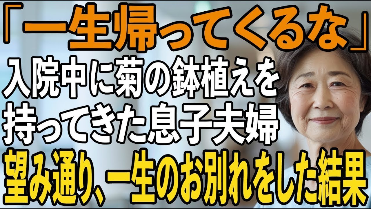 「帰ってこなくていいから」入院中に菊の鉢植えを持ってきた息子夫婦→退院後、お望み通り一生お別れした結果【シニアライフ】【60代以上の方へ】