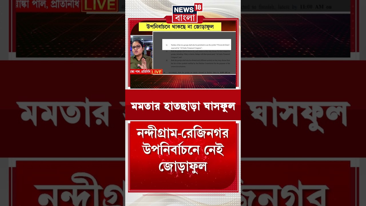 Mamata Banerjee র 'হাতছাড়া' ঘাসফুল | TMC Symbol | #shorts