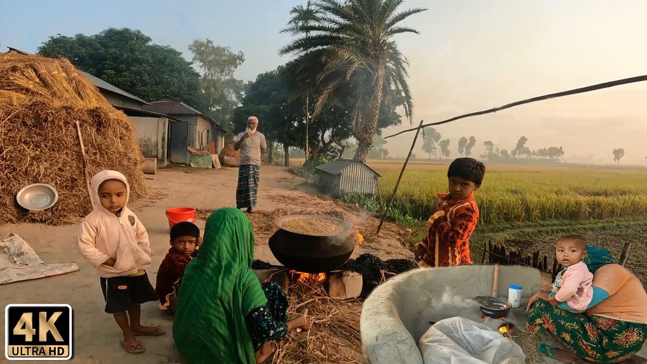 গ্রাম বাংলায় কুয়াশাঘেরা শীতের সকাল ও গ্রামের জীবন। Beautiful Winter Village Morning and Village Life