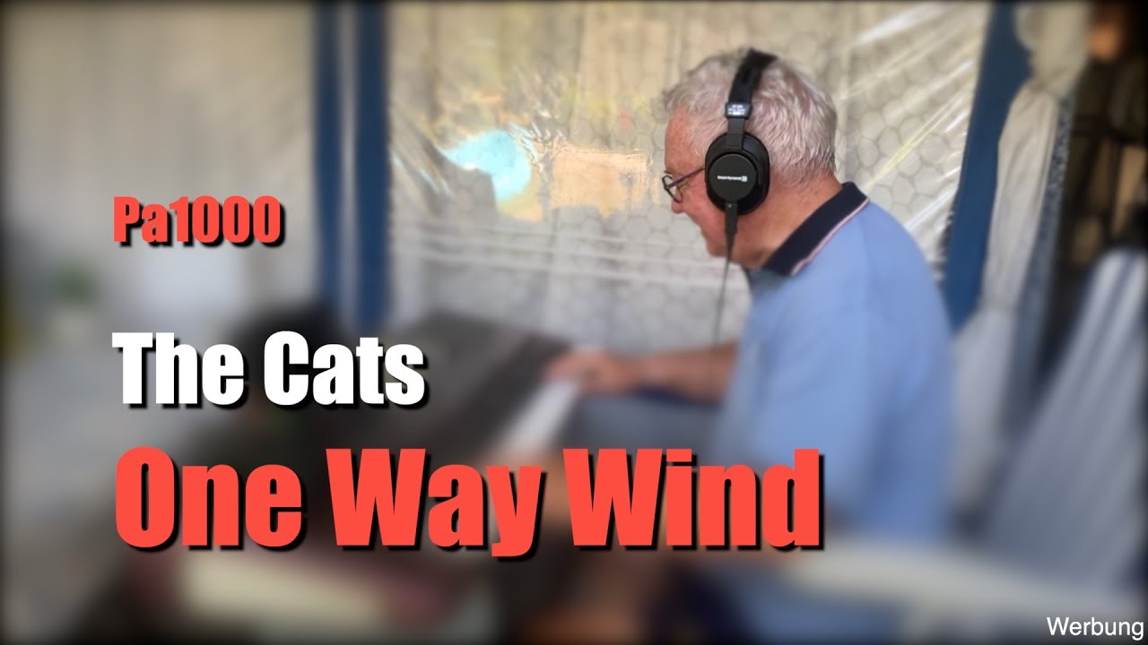 Pa1000 The Cats - "One Way Wind" - # 1460