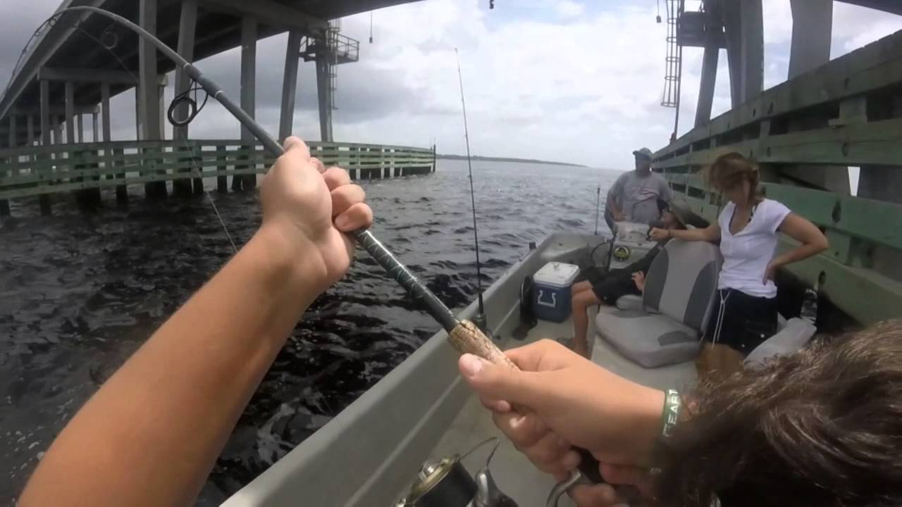 GoPro - Alligator Point Charter Fishing