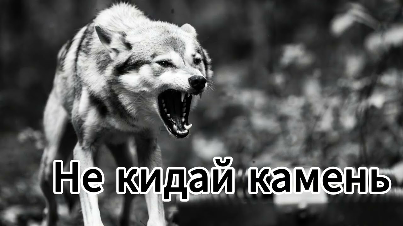 Garik Garlik.Камень не кидай