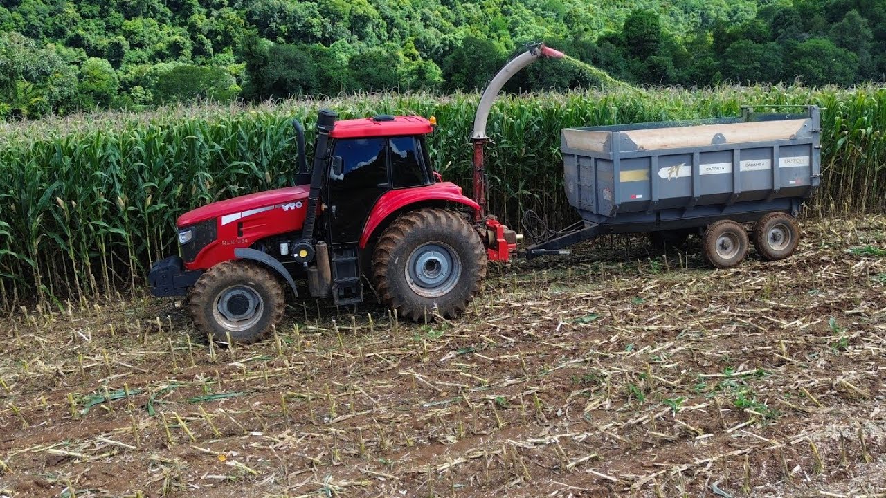 TRATOR YTO 1404 FAZENDO SILAGEM