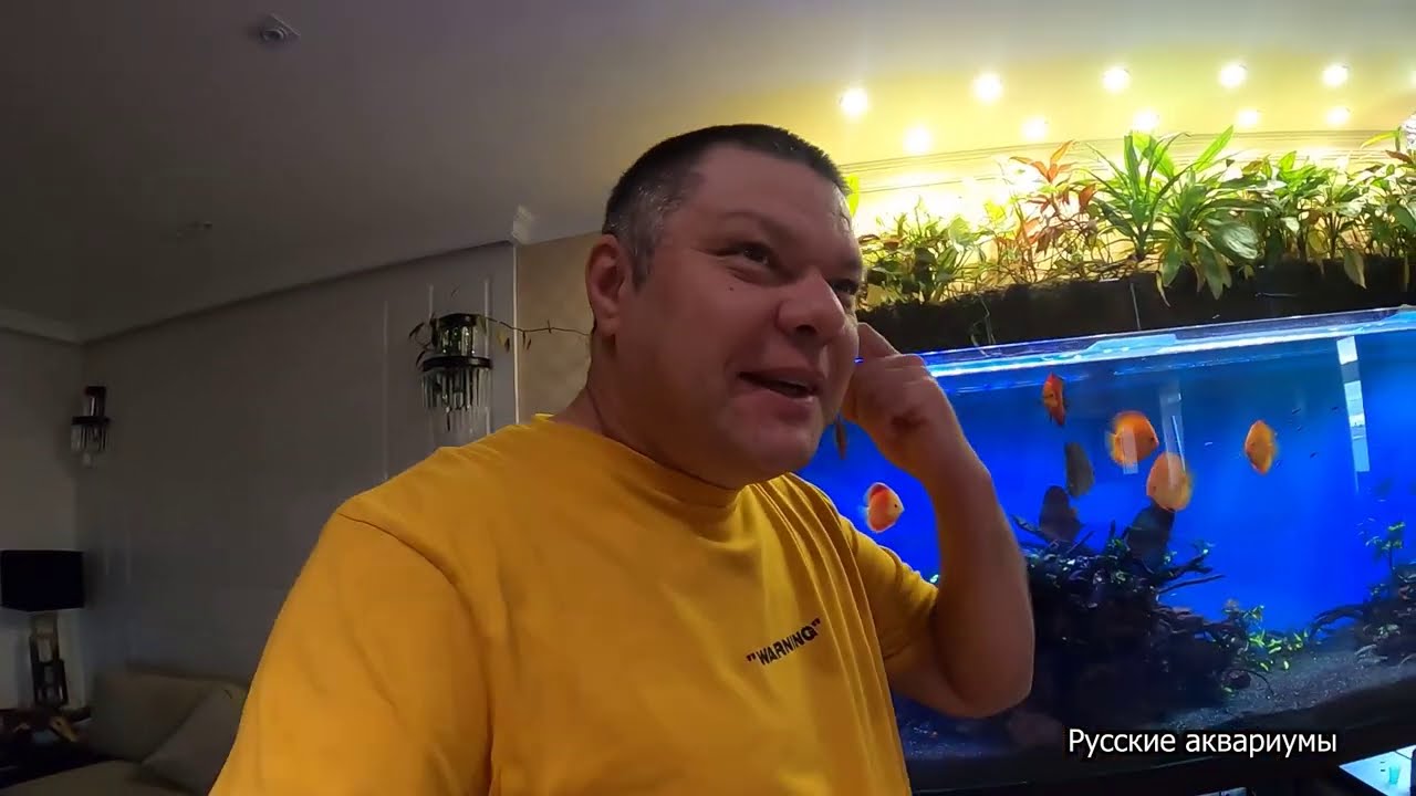 Как чистить большой аквариум. Обслуживание