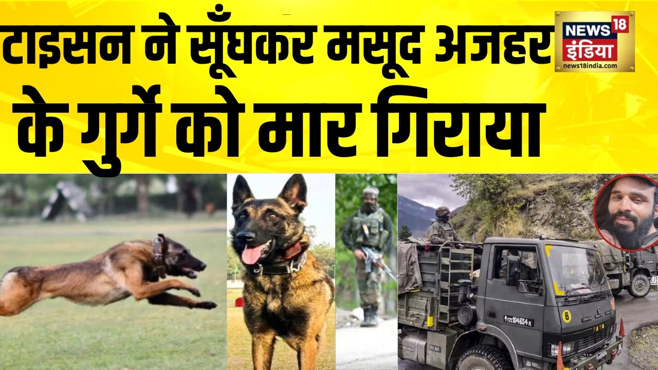 टाइसन ने सूँघकर मसूद अजहर के गुर्गे को मार गिराया | Kishtwar Encounter | Army Dog Tyson | Pakistan