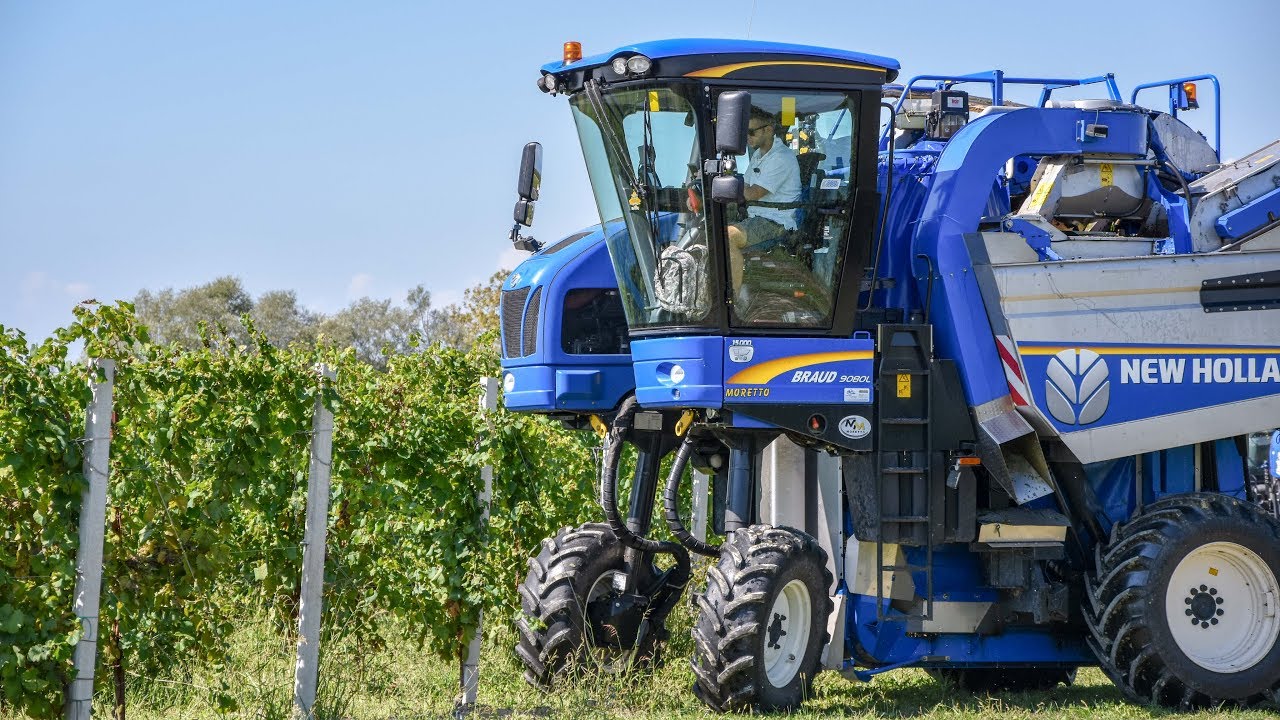 Vendemmia 2018🍇🍷 | 2 x New Holland Braud 9080L | MORETTO