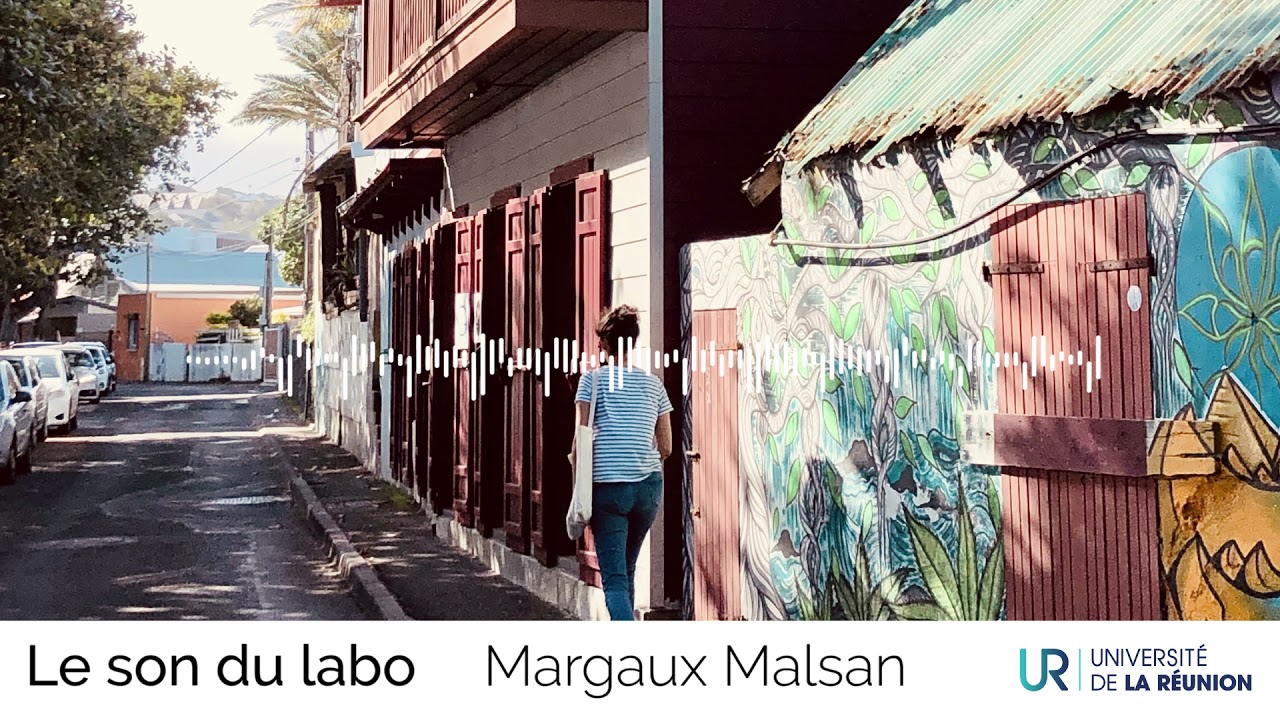 Le son du labo : évolution des quartiers à La Réunion
