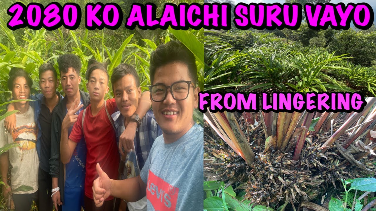 2080 KO ALAICHI SURU VAYO || FROM LINGKHIM || @dineshvlog2091