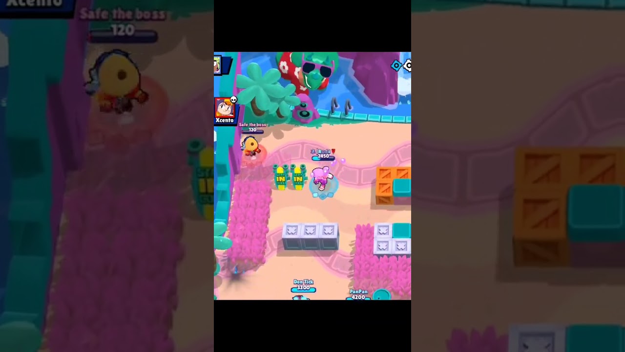 Moments with Fang in Brawl Star 