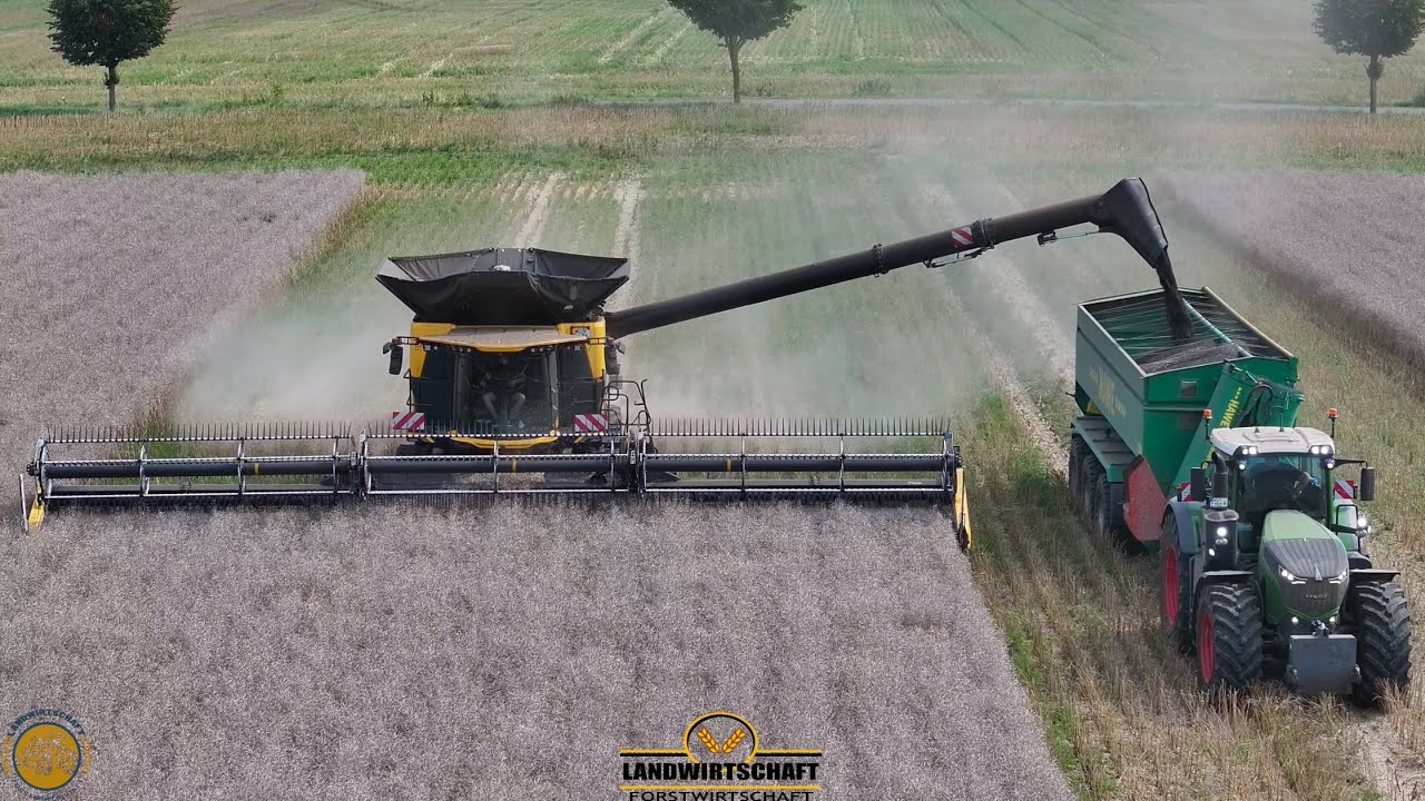 Wie schlägt sich das 15m Schneidwerk am Größten Mähdrescher der Welt New Holland CR11 Raps Dreschen 