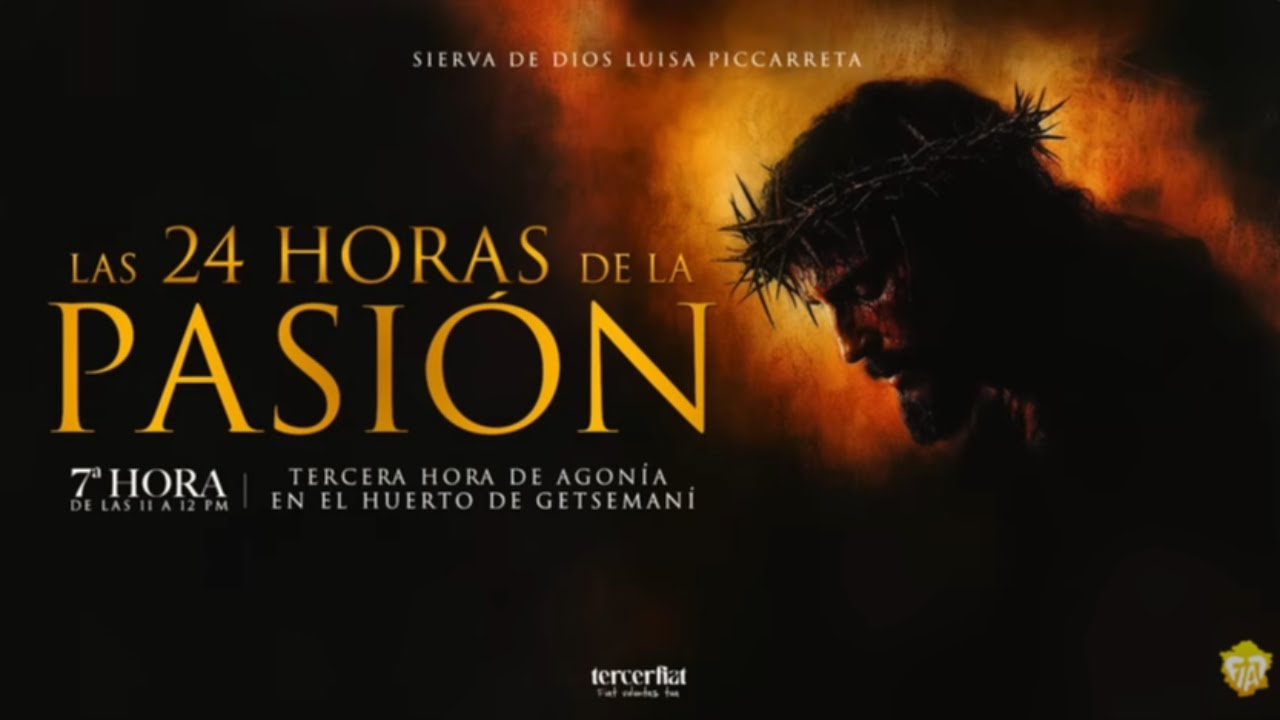 7ª HORA | TERCERA HORA DE AGONÍA EN EL HUERTO DE GETSEMANÍ
