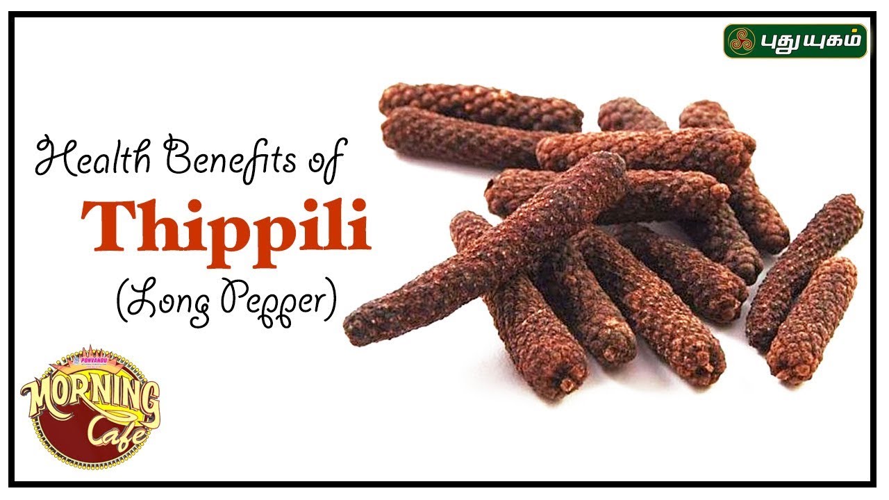 திப்பிலி மருத்துவ பயன்கள்| Benefits Of Long Pepper (Thippili) | Arivom Arogyam | EP 39 | 03/04/2019