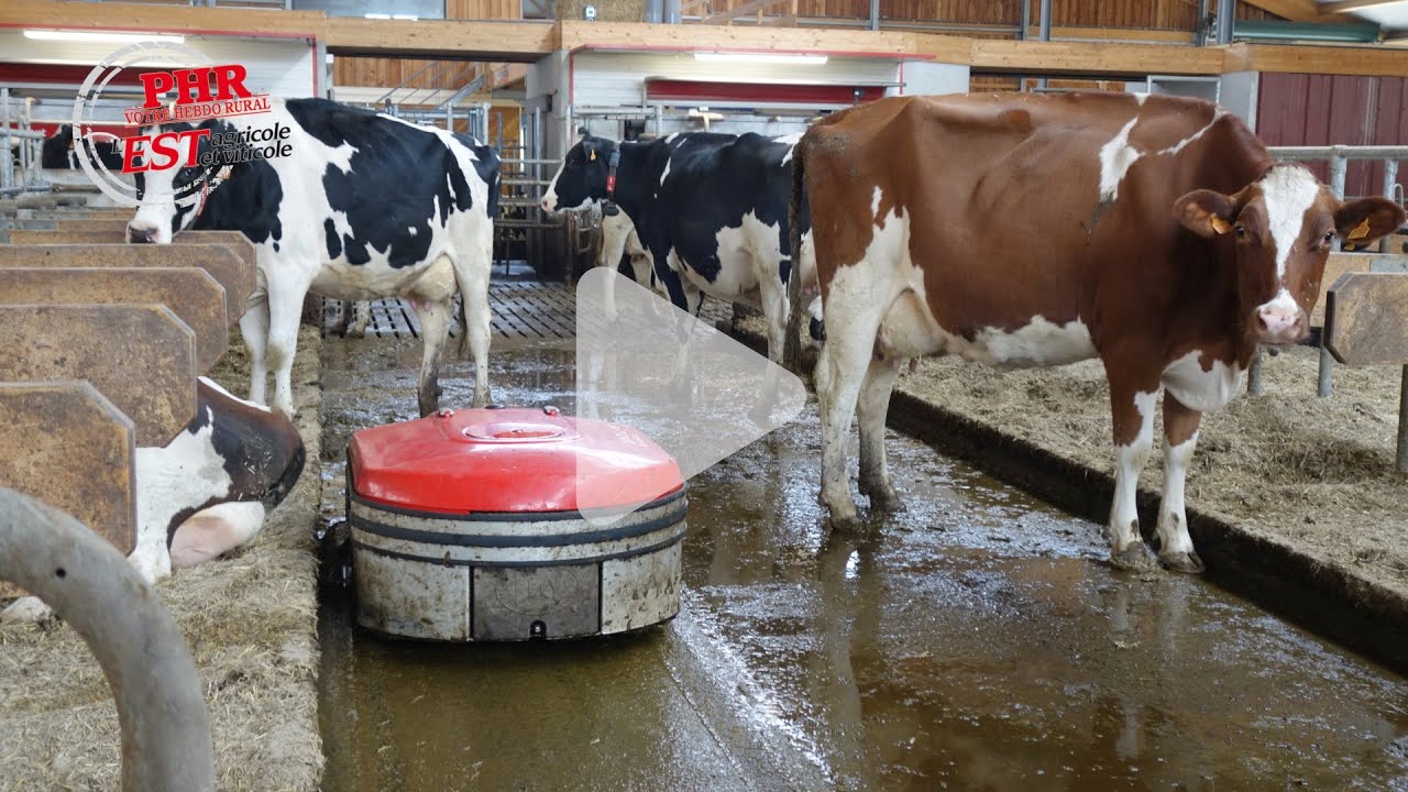 Le Gaec Dintinger utilise le robot aspirateur de lisier Lely Discovery Collector 120
