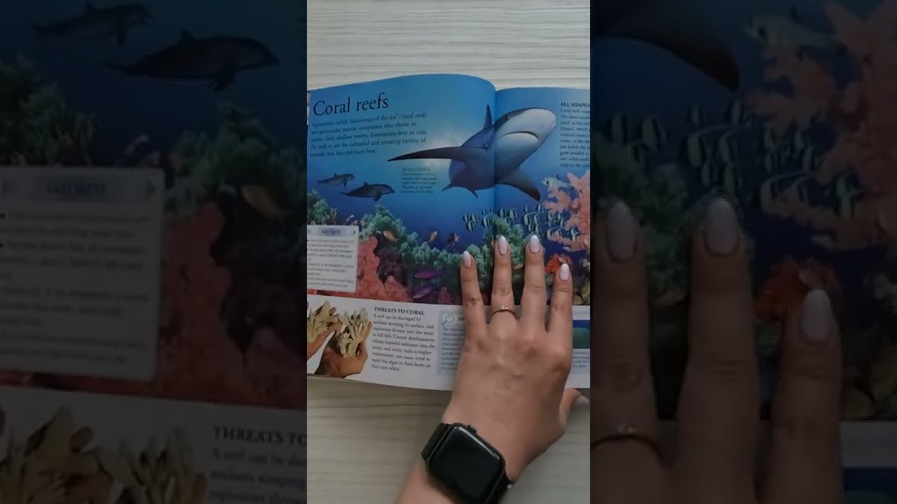 DK Children’s Encyclopedia