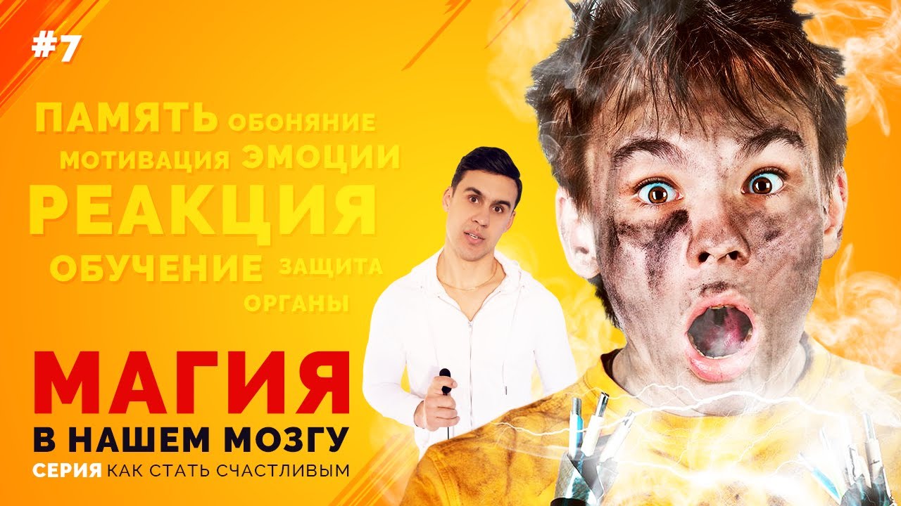 ЛИМБИЧЕСКАЯ система мозга. Джеймс Коан и Тиффани Уайт. Как стать счастливым #7