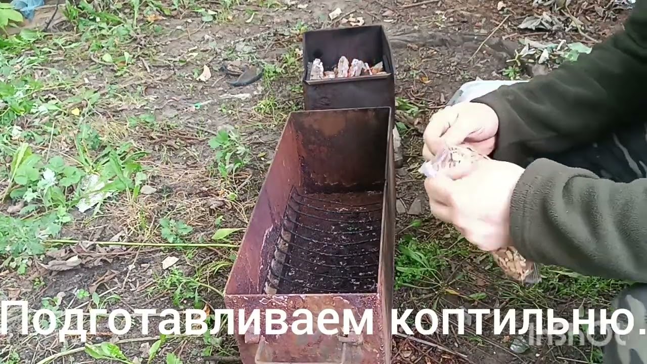 Копчение рыбы , это просто .