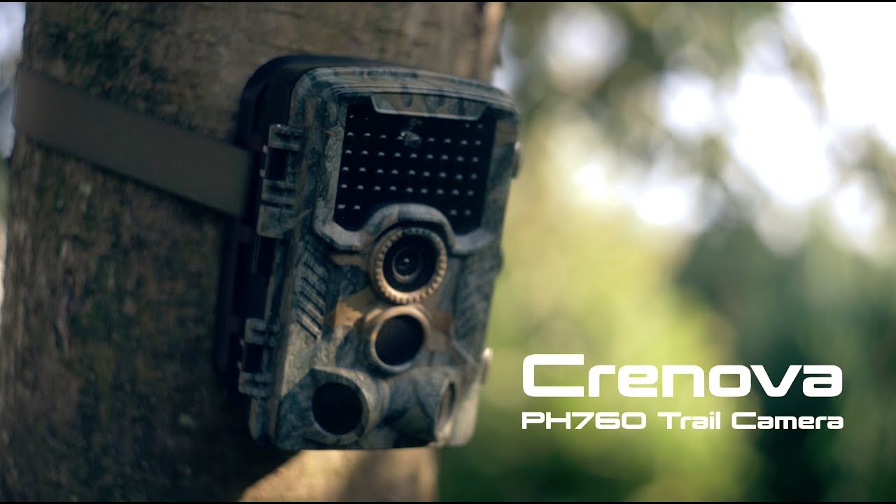 Crenova 4K Trail Camera - Wildlife Camera Review!