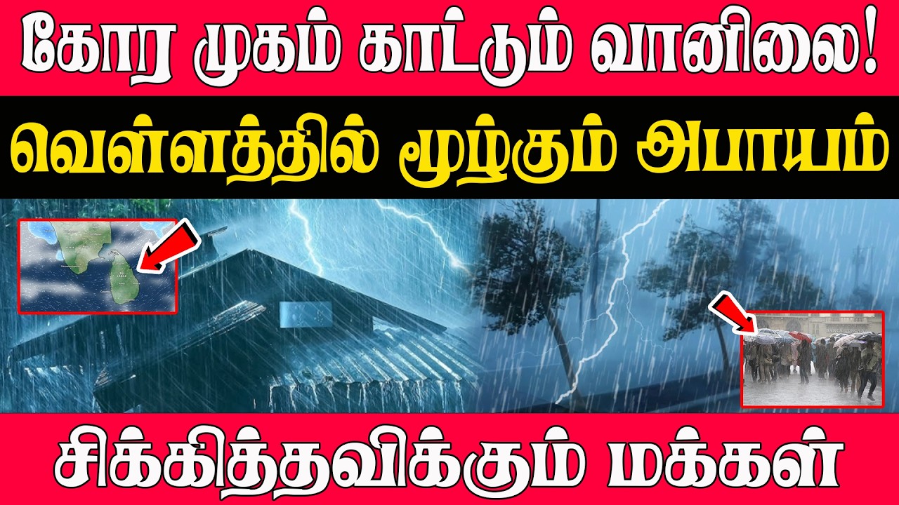 🔴 கோர முகம் காட்டும் வானிலை! வெள்ளத்தில் மூழ்கும் அபாயம் – சிக்கித்தவிக்கும் மக்கள் | Weather Alert