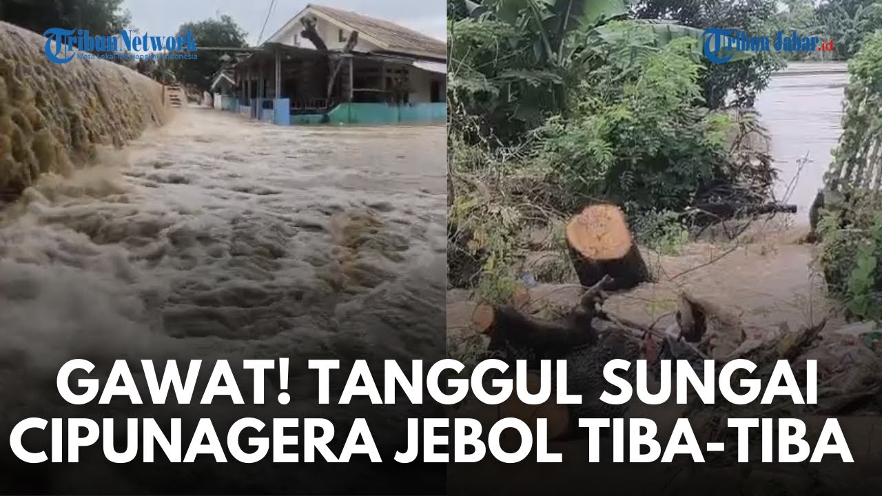 TANGGUL CIPUNAGARA JEBOL! Banjir Meluas Terjang Pamanukan Subang, Warga Panik Evakuasi
