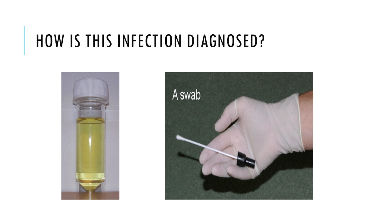 STI VIDEO
