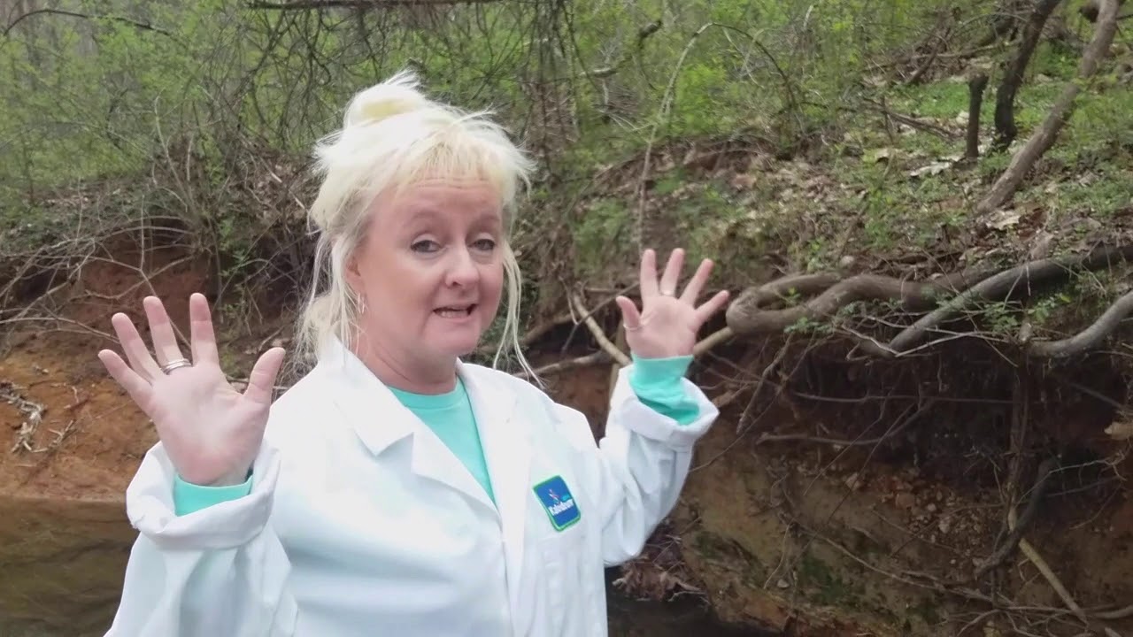 Kaleideum At Home: Tour of a Stokes Country Creek