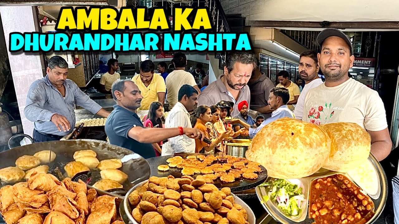 Top 3 Breakfast in AMBALA 🔥 Dhurandhar Puri & Pahalwan KACHORI | Indian Street Food