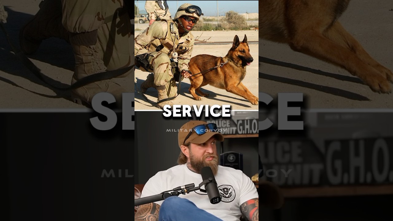 Veteran Stands Up For a Service Dog 🐕🪖🇺🇸 #military #army #podcast
