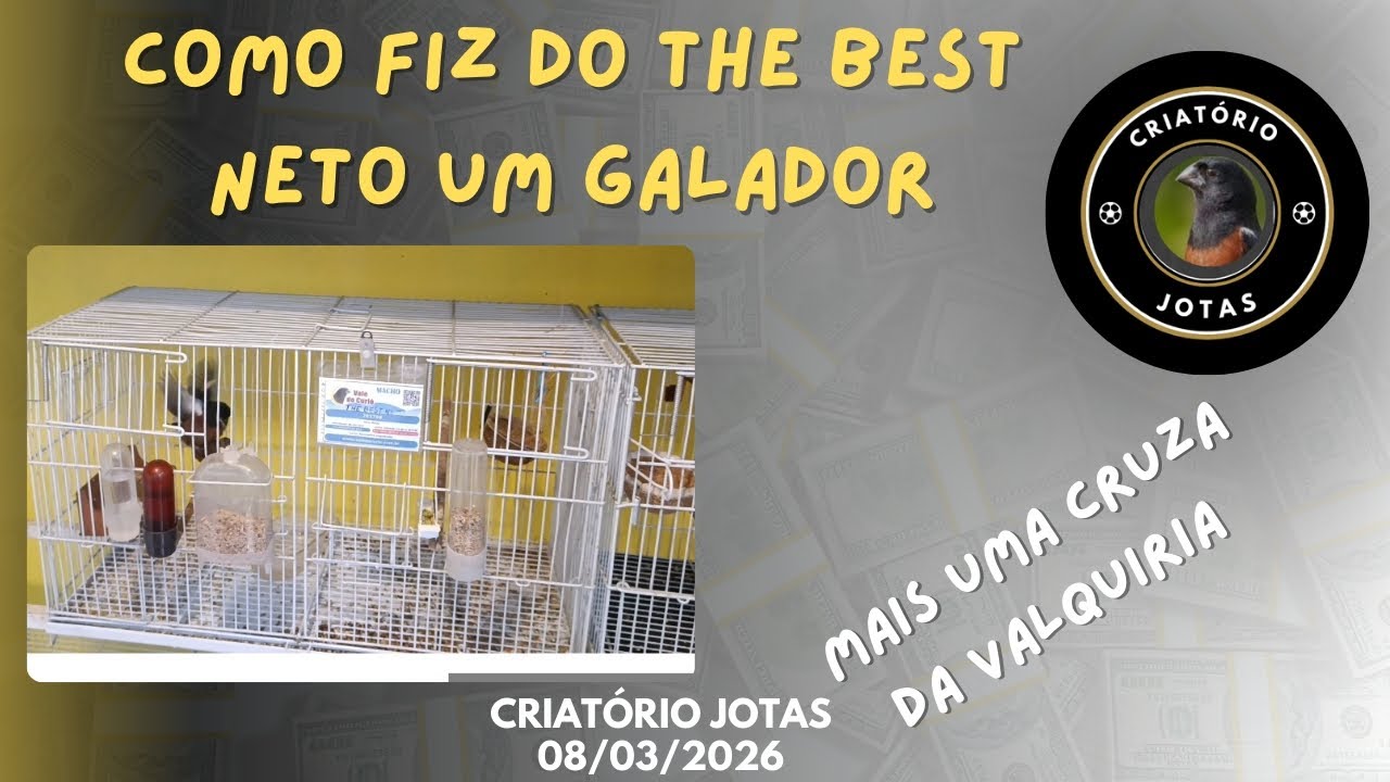 E assim ganhei um excelente Galador! THE BEST NETO 