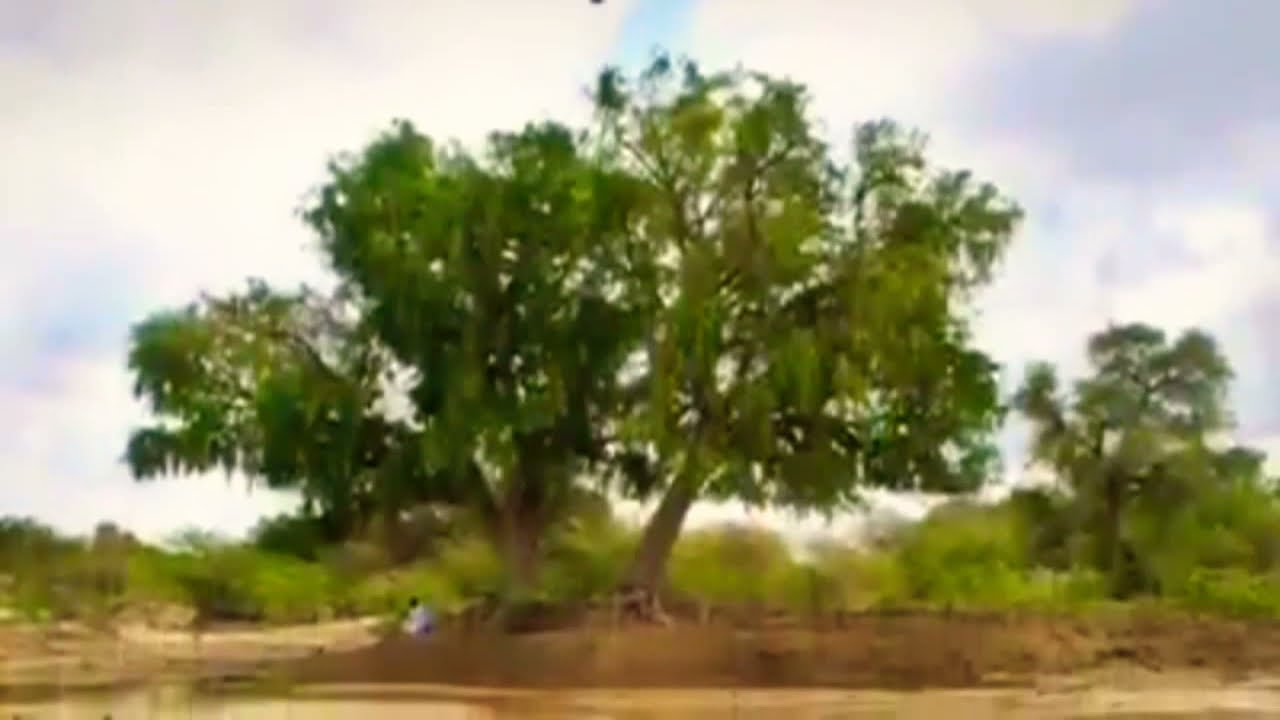 Marwari Geet  ||Tanji Vattan Jovan|| - Fozia Soomro - Best Sindhi Marwari Song