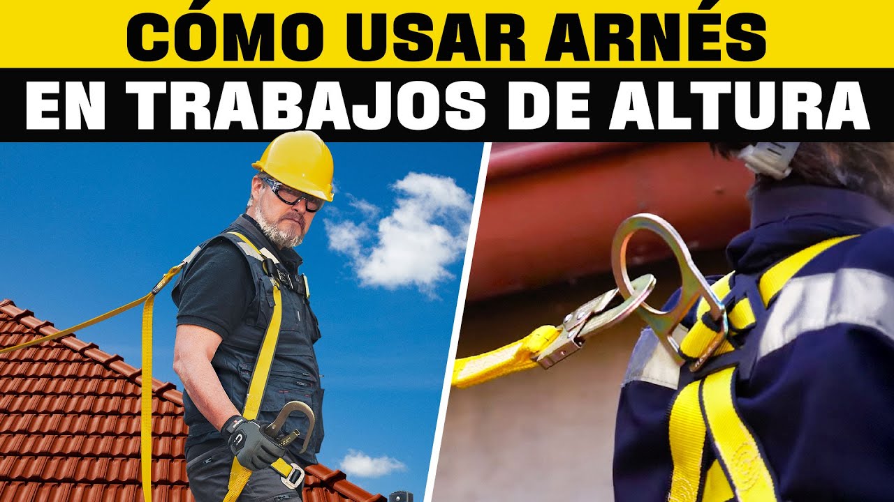 Cómo usar arnés para trabajos en altura I Lo Mejor