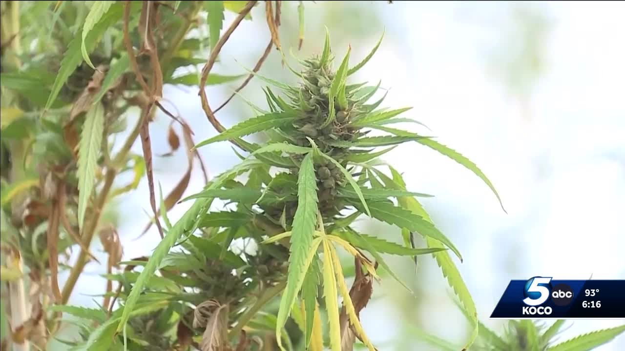 Oklahoma group faces new hurdle in recreational marijuana legalization effort