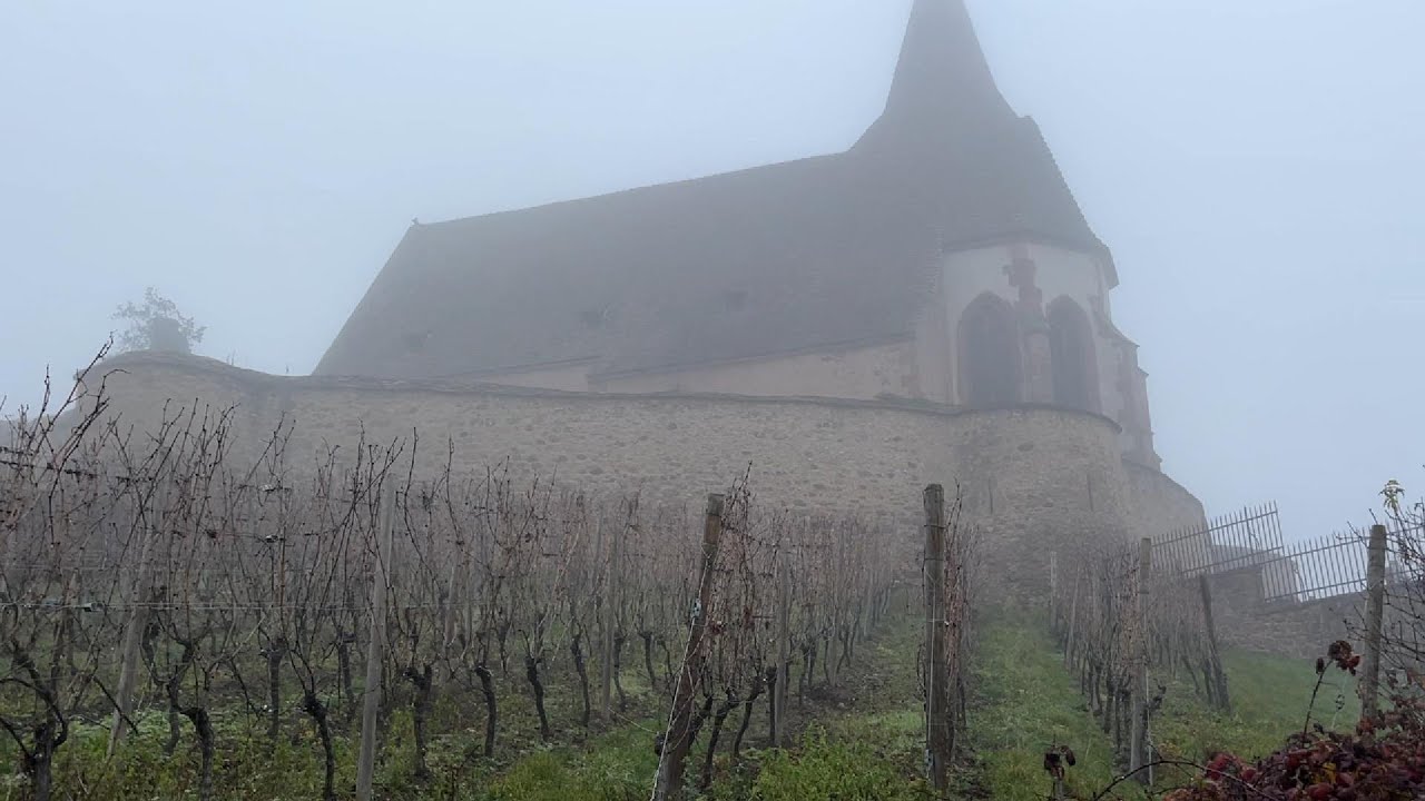 Foggy ASMR Walk in Hunawihr, Alsace 🇫🇷 | Quiet Medieval Village Near Riquewihr