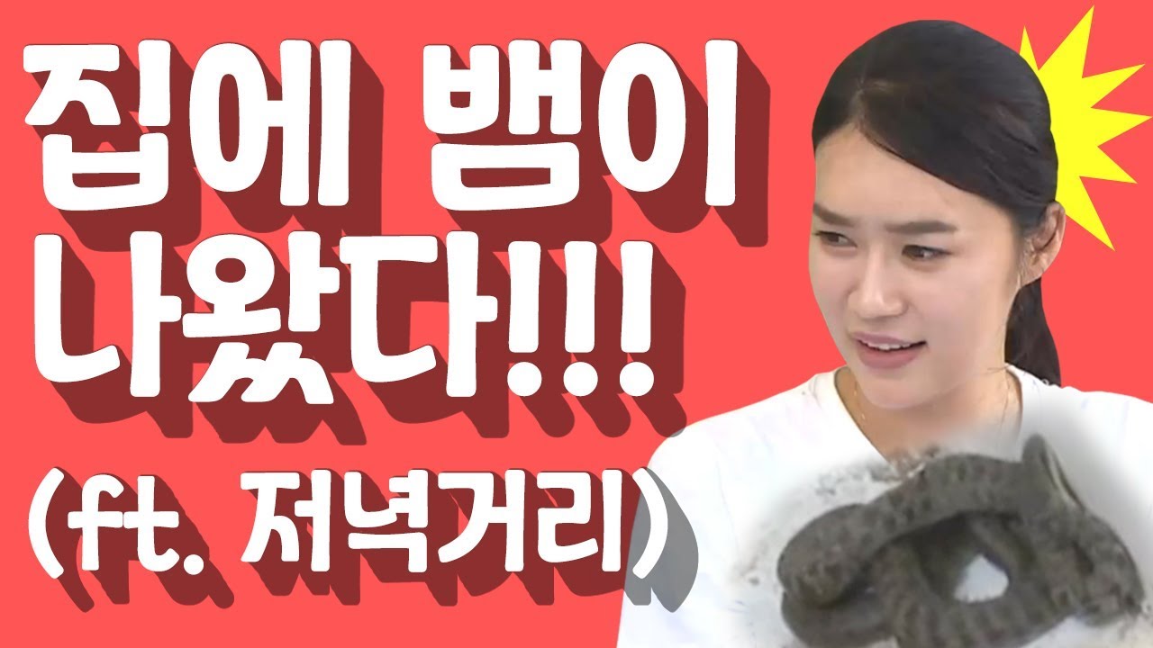 [세이하이 탈북미녀] 이거 레알? 