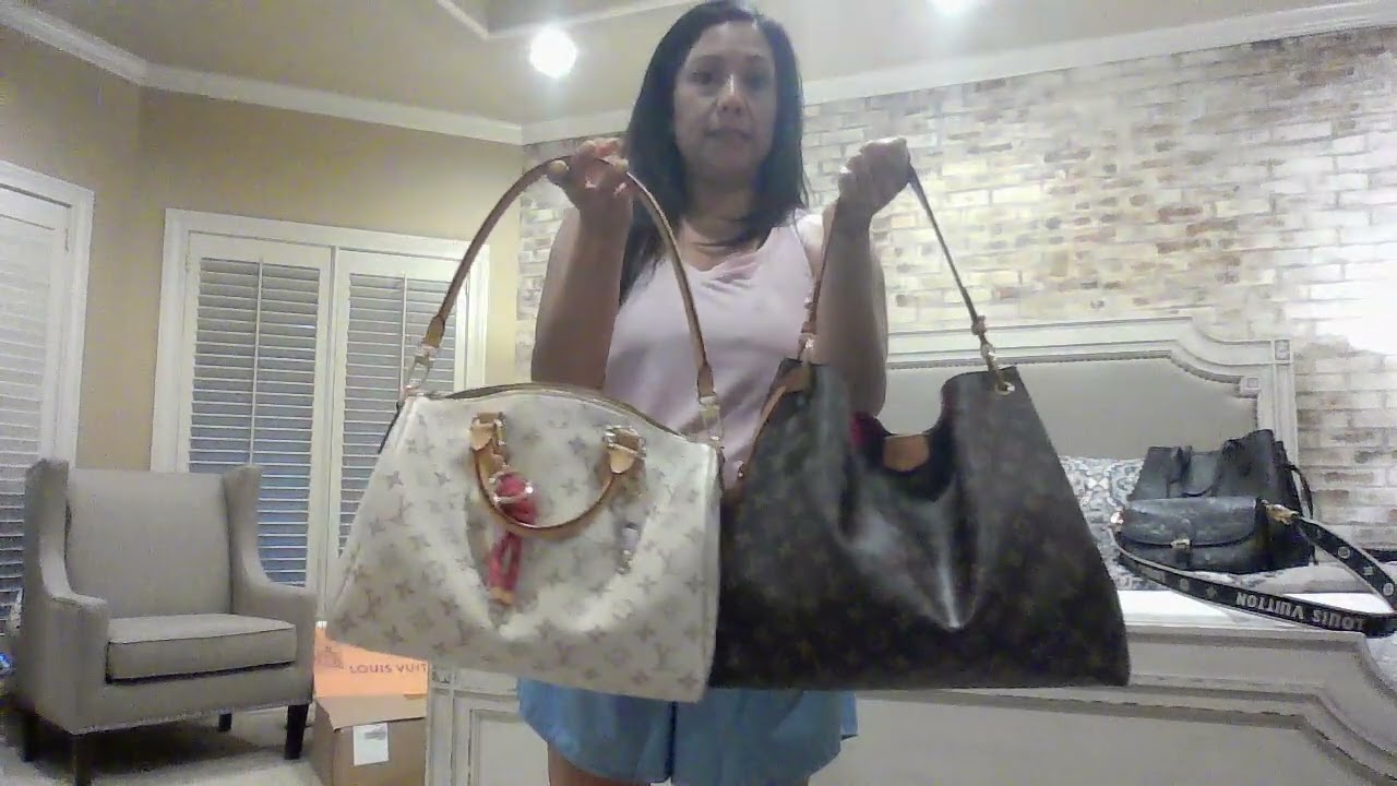 Speedy Soft 30 Dune Monogram Review