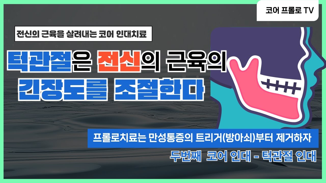 프롤로치료,턱관절은 전신의근육의긴장도를조절한다