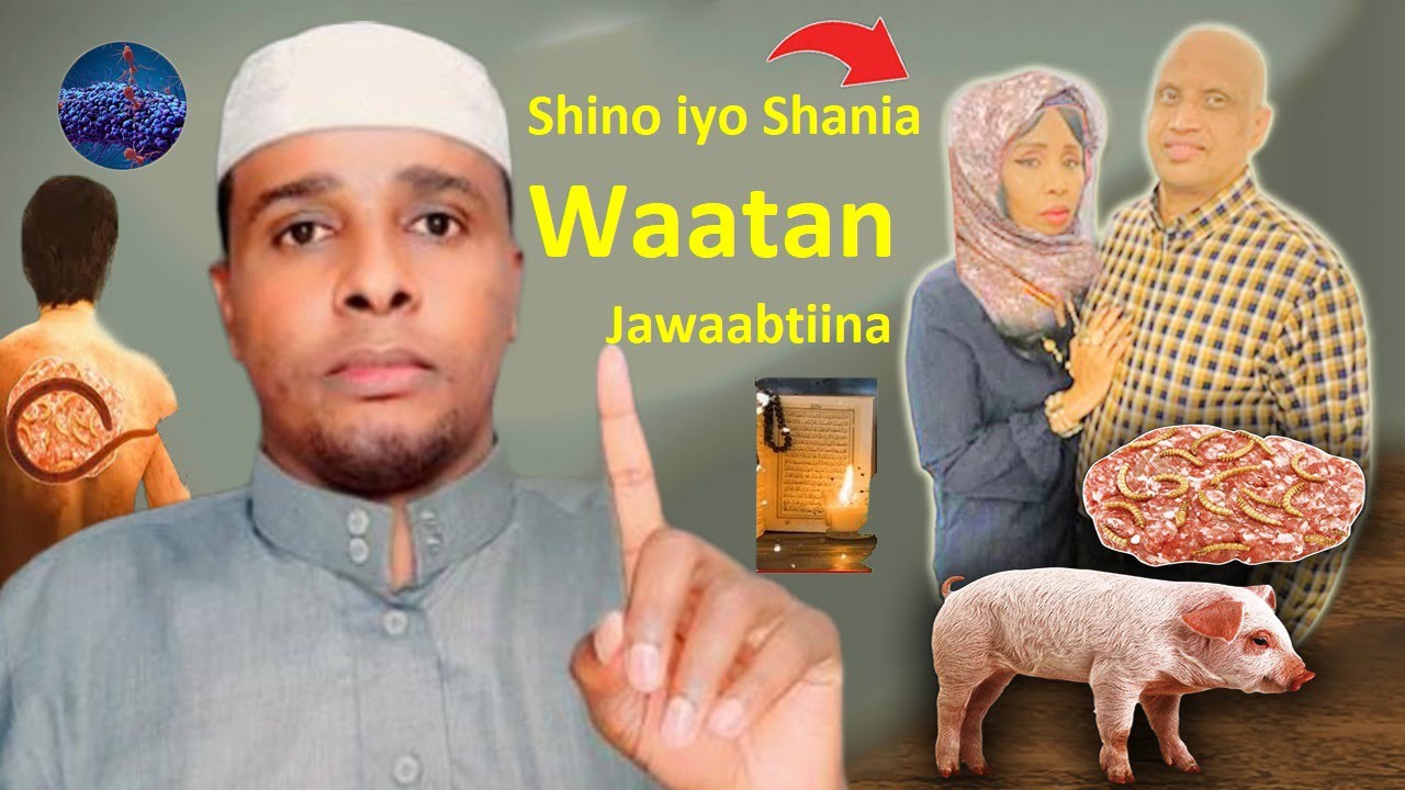 Qansiirka La Cuno Quraanka Baneeyey..! Shino iyo Shania Waatan jawaabtiina Wax Dambe Ha iswaydiin