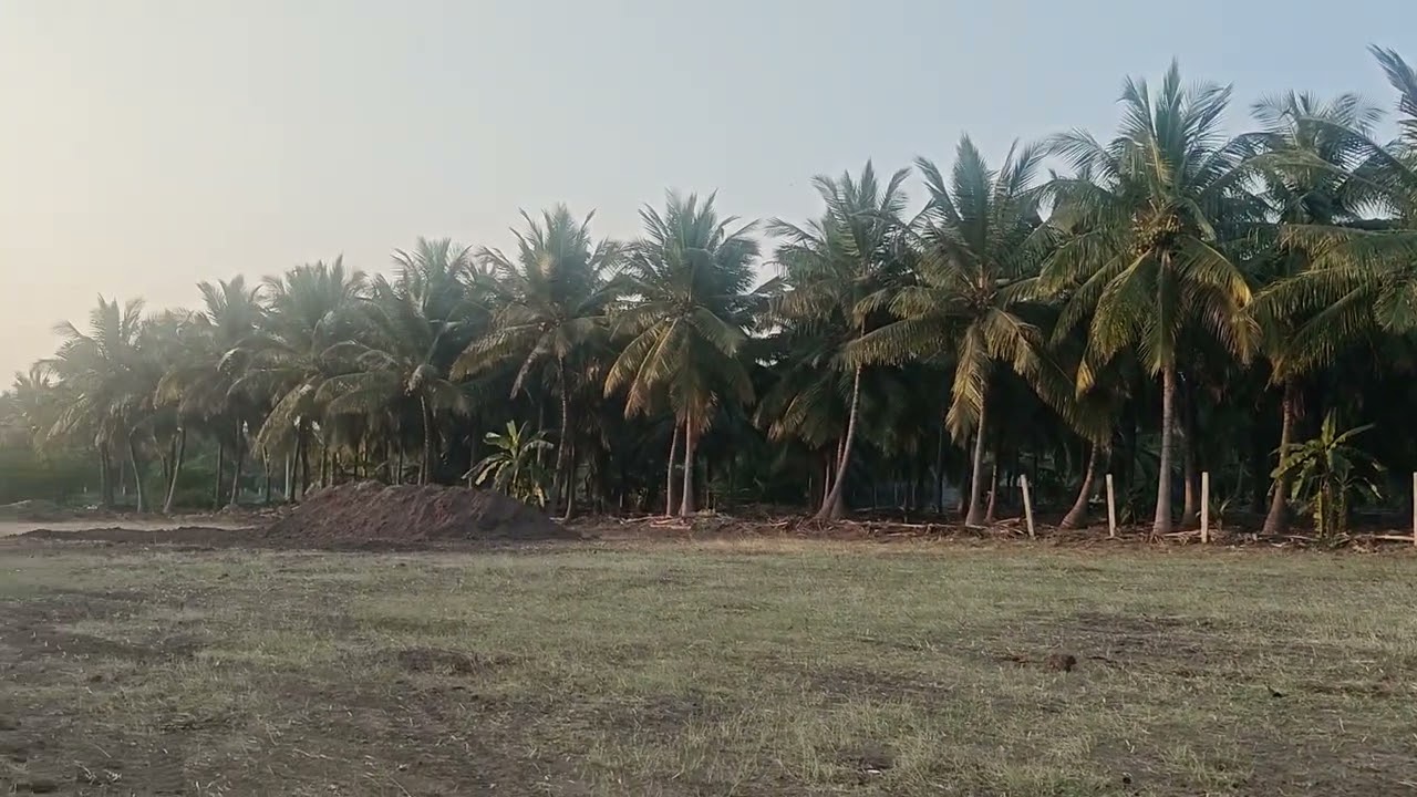 செக் டேம் அருகில் சூப்பர் பூமி 1ஏக்கர் விற்பனைக்கு தொடர்புக்கு 90 95 47 14 10 