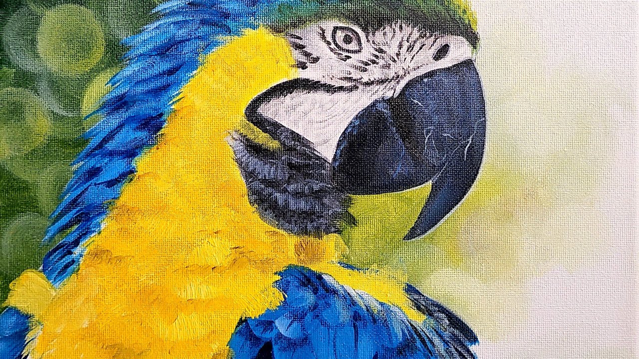 How to paint a Tropical Macaw | Free LIVE Acrylic Beg/Int Painting Class