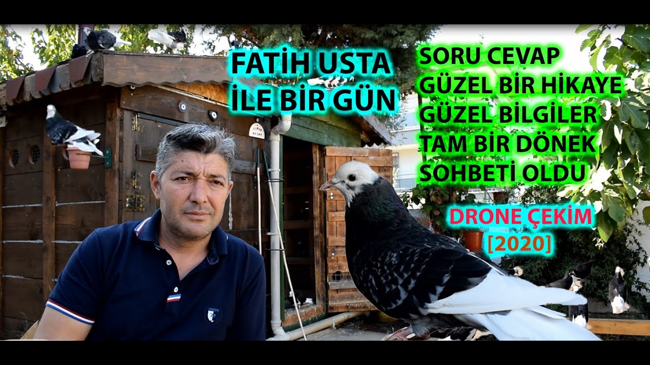 Fatih Turhan (BY Kaynakcı ) #DÖNEK #GÜVERCİNLERİ #DÖNÜŞ #GÜVERCİN #DRONEÇEKİM #BELGESEL #GÜVERCİN