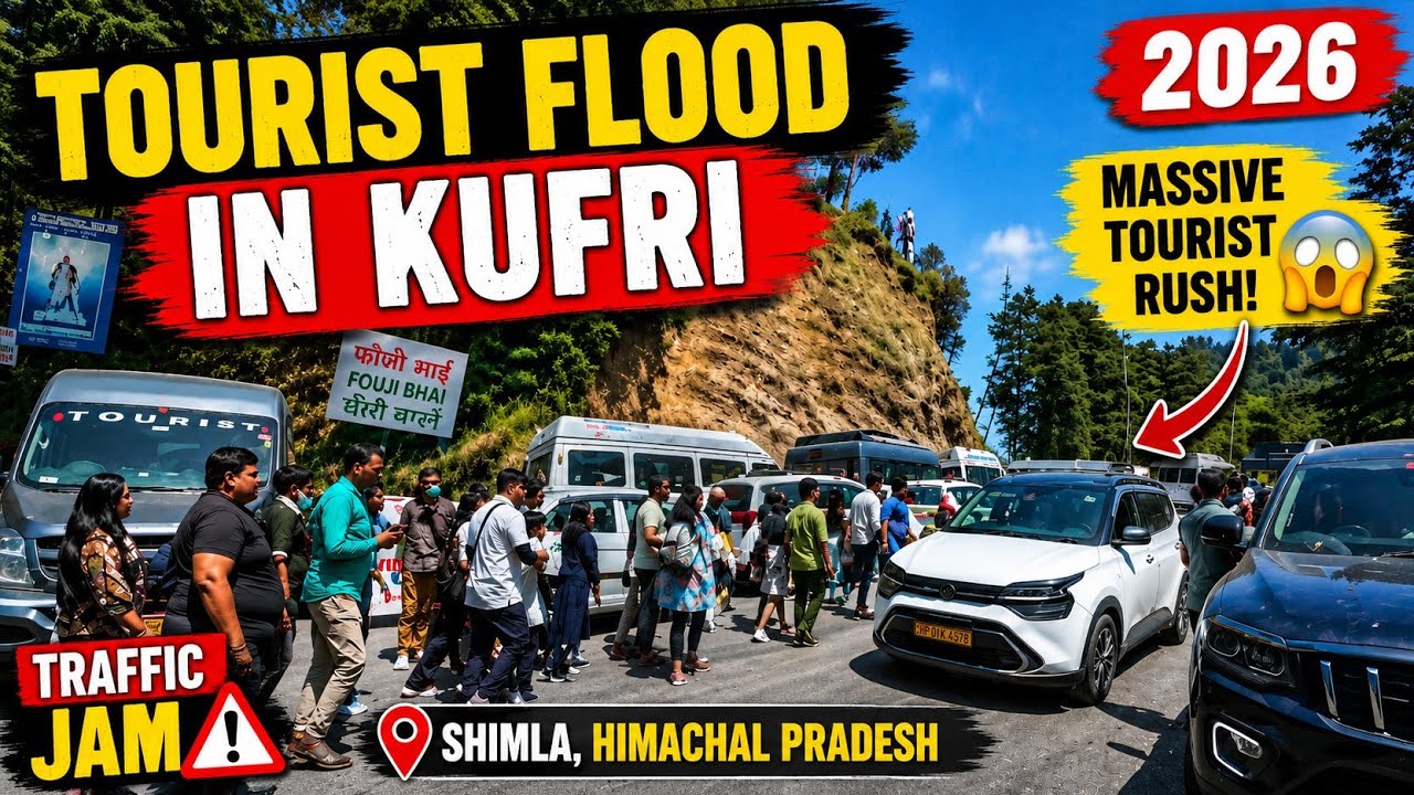 Kufri Latest Video 2026 | Summer Season Tourist Rush in Shimla  #shimlahimachalpradesh