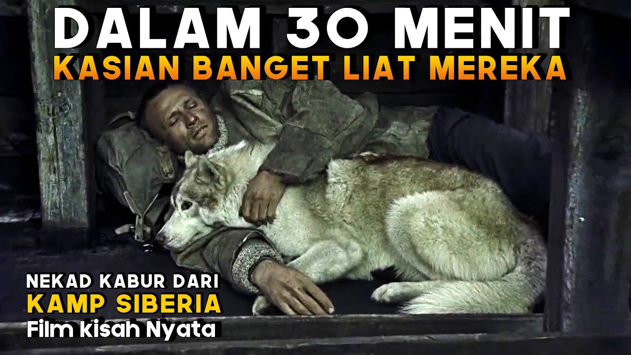 GA KEBAYANG‼️ BISA BISANYA DIA SELAMAT‼️PADAHAL MUSTAHIL BANGET
