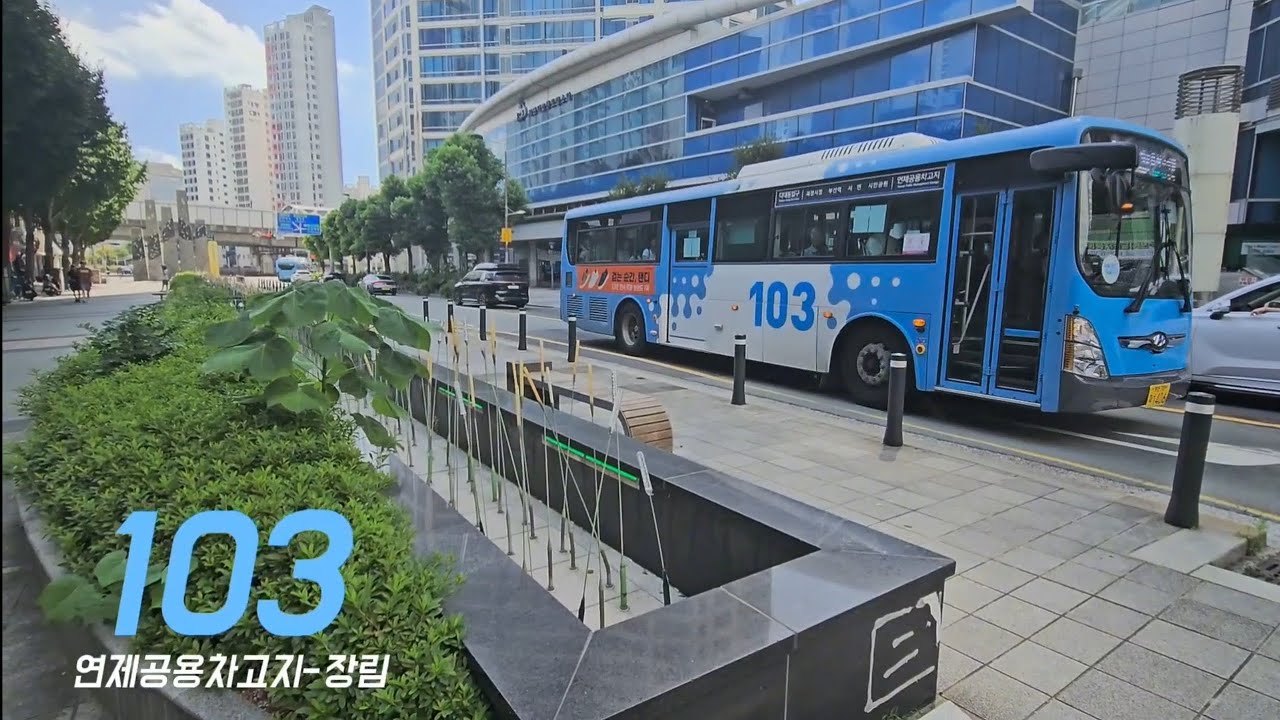 [1080P] 연제구와 사하구를 잇다 | 부산 103번 버스