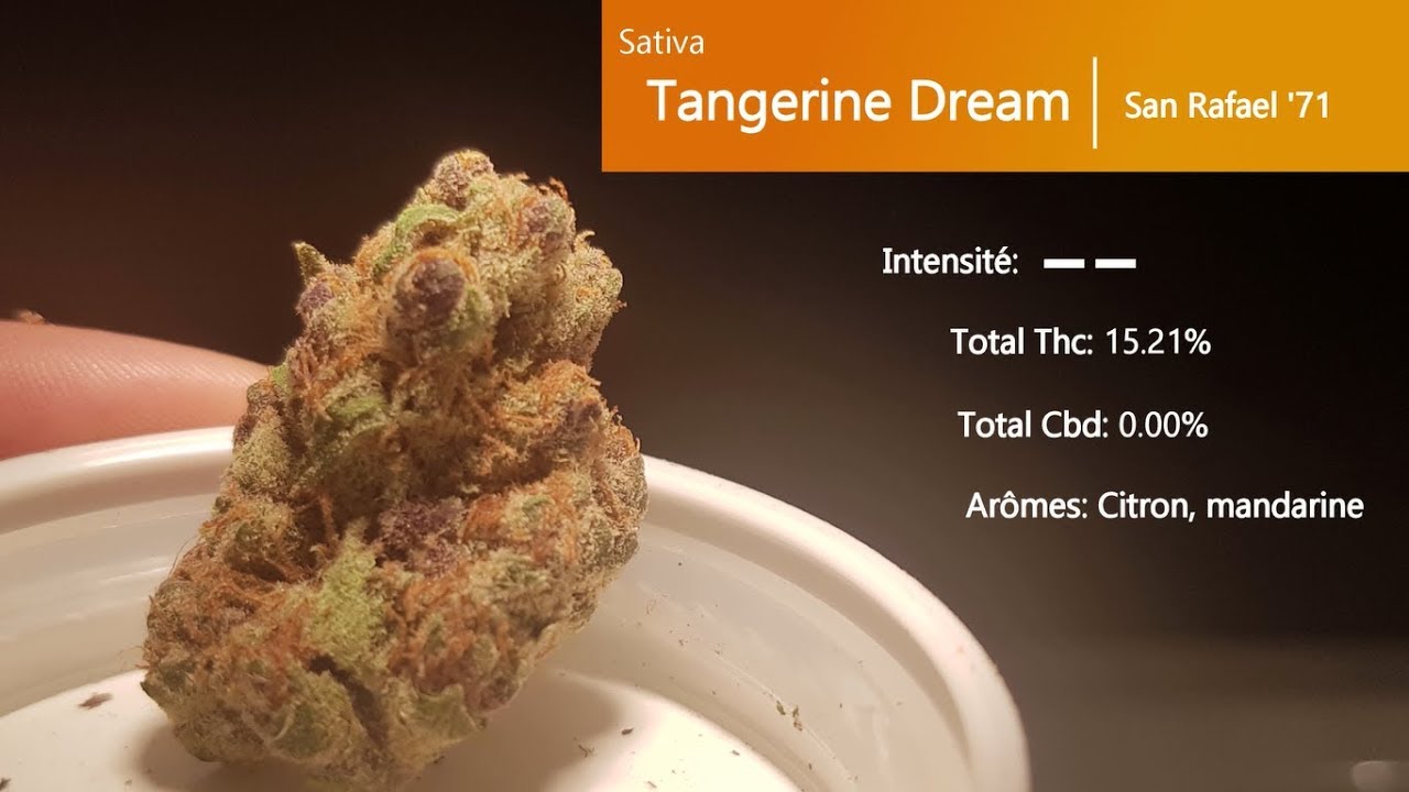 Cannabis récréatif SQDC #02: Tangerine Dream