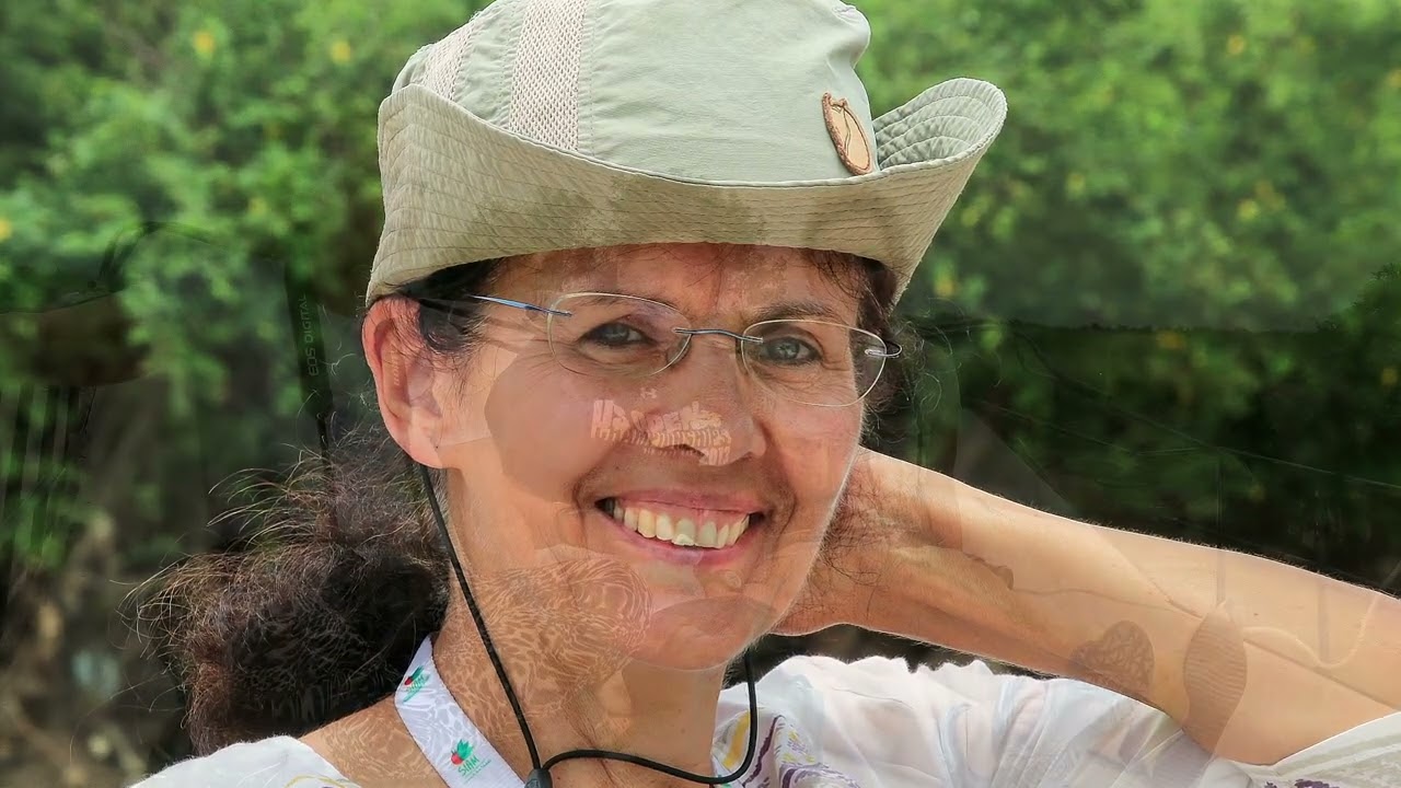 Reise Vietnam und Kambodscha Jul Aug 2015 - part 3