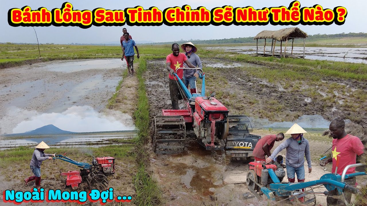 Thế Nhân || Bất Ngờ Trước Khả Năng Lội Ruộng Của Cặp Bánh Lồng Vừa Mới Được Nâng Cấp Cho Em Trâu Sắt