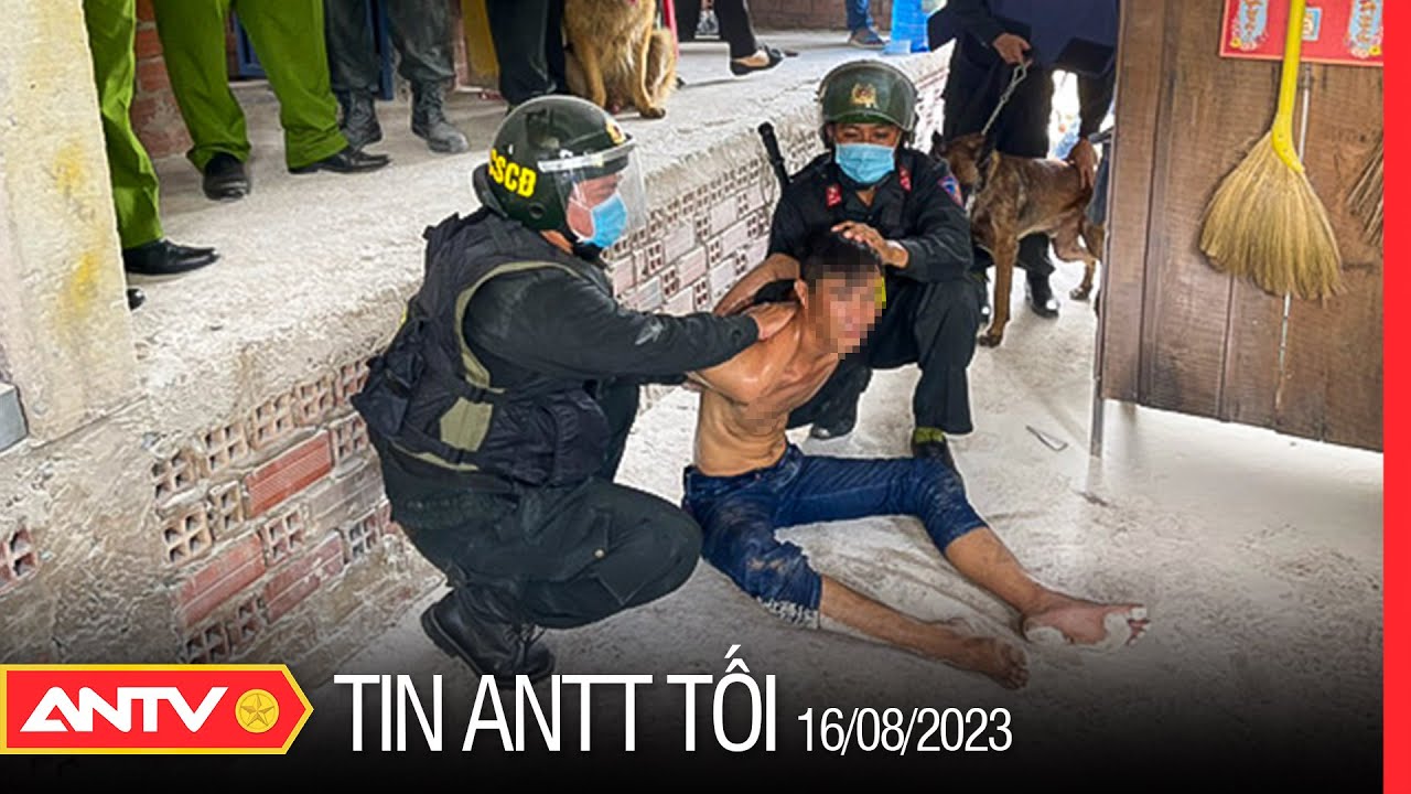 Tin tức an ninh trật tự nóng, thời sự Việt Nam mới nhất 24h tối 16/8 | ANTV