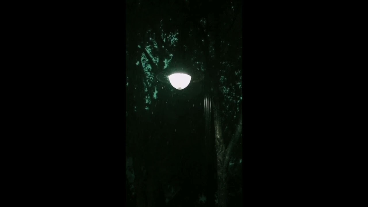 ( FREE ) 