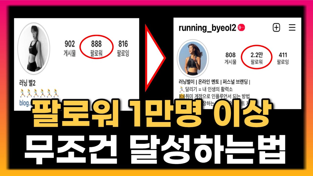 인스타그램 팔로워 늘리는 법, 유료강의 공개, '이 작업'으로 팔로워 1만명 이상 순식간에 도달했어요, 인스타에 대한 모든 것 여기에 담았습니다!
