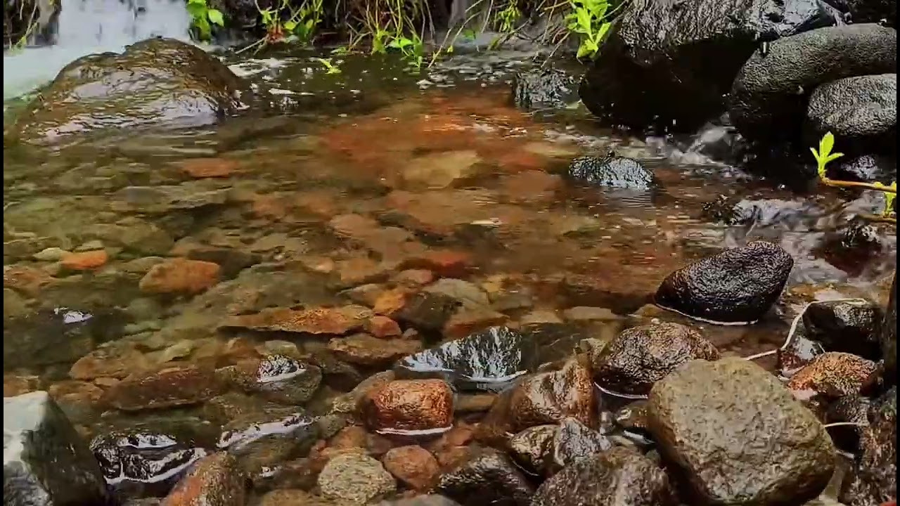 River Sounds with Gentle Wind ️ | Calm Nature Ambience for Sleep & Study